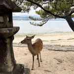 ユーザ写真