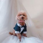 ユーザ写真