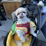 ユーザ写真