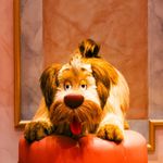 ユーザ写真