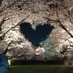 ユーザ写真