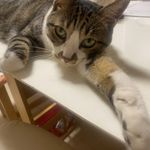 ユーザ写真