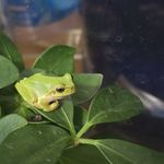 ユーザ写真