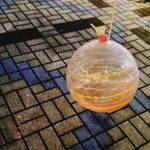 ユーザ写真