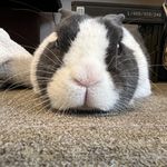 ユーザ写真