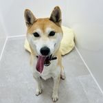 ユーザ写真