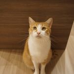 ユーザ写真