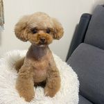 ユーザ写真
