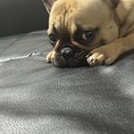 ユーザ写真