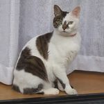 ユーザ写真