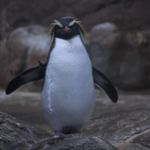 ユーザ写真