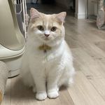 ユーザ写真