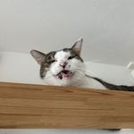 ユーザ写真