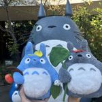 ユーザ写真