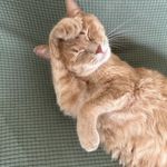 ユーザ写真