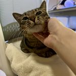 ユーザ写真