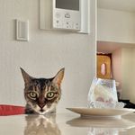 ユーザ写真