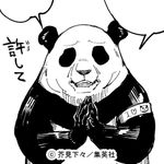 ユーザ写真