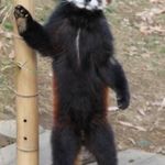 ユーザ写真