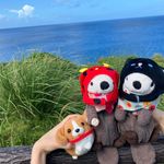ユーザ写真