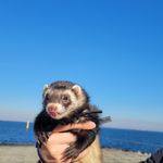 ユーザ写真