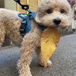 ユーザ写真