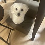 ユーザ写真