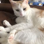 ユーザ写真