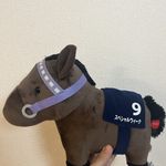 ユーザ写真