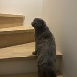 ユーザ写真