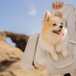 ユーザ写真
