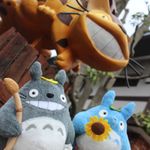 ユーザ写真