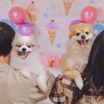 ユーザ写真