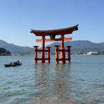 ユーザ写真