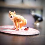 ユーザ写真
