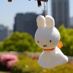 ユーザ写真