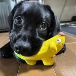 ユーザ写真