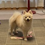 ユーザ写真