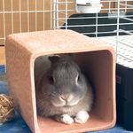ユーザ写真