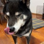 ユーザ写真