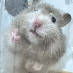 ユーザ写真