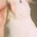 ユーザ写真