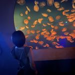 ユーザ写真