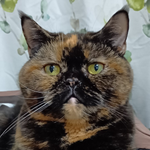 ユーザ写真