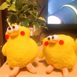 ユーザ写真