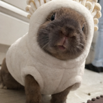 ユーザ写真