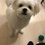 まっちゃん
