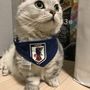lovecats36