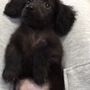 ハル