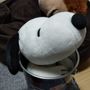 ぼん